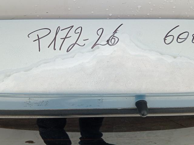 PORTELLONE FIAT 600 2001 - immagine 4